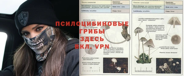 а пвп мука Алексин