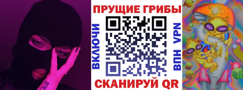 магазин  наркотиков  Зуевка  darknet телеграм  Псилоцибиновые грибы MAGIC MUSHROOMS 